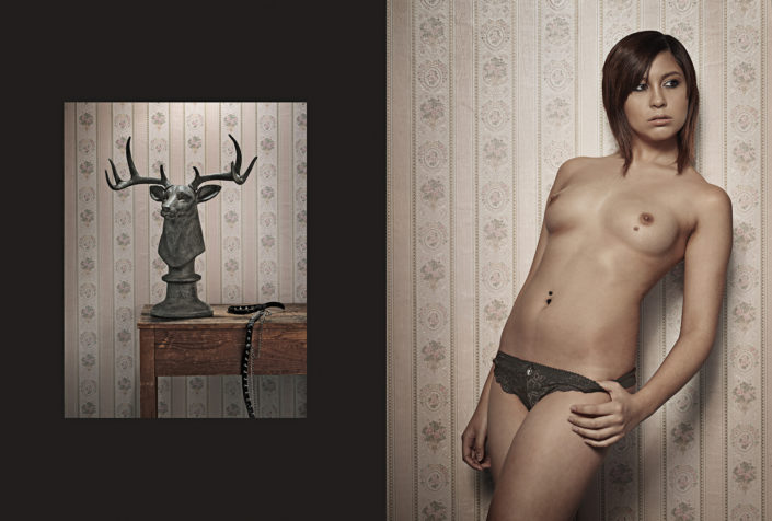 Stella mit Hirsch